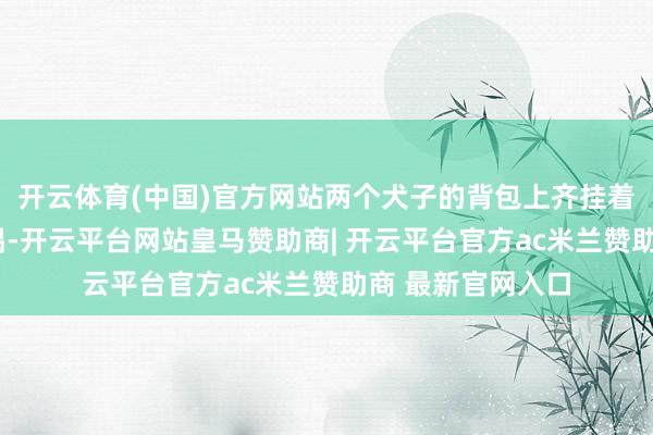 开云体育(中国)官方网站两个犬子的背包上齐挂着“玲娜贝儿”玩偶-开云平台网站皇马赞助商| 开云平台官方ac米兰赞助商 最新官网入口
