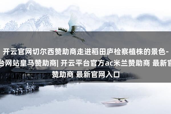 开云官网切尔西赞助商走进稻田庐检察植株的景色-开云平台网站皇马赞助商| 开云平台官方ac米兰赞助商 最新官网入口