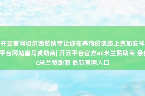开云官网切尔西赞助商让你在养狗的谈路上愈加安祥不迫-开云平台网站皇马赞助商| 开云平台官方ac米兰赞助商 最新官网入口